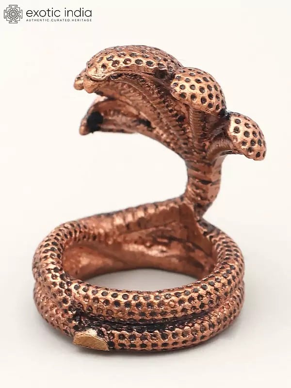 Exotic India 1" Small Five Hooded Serpent 