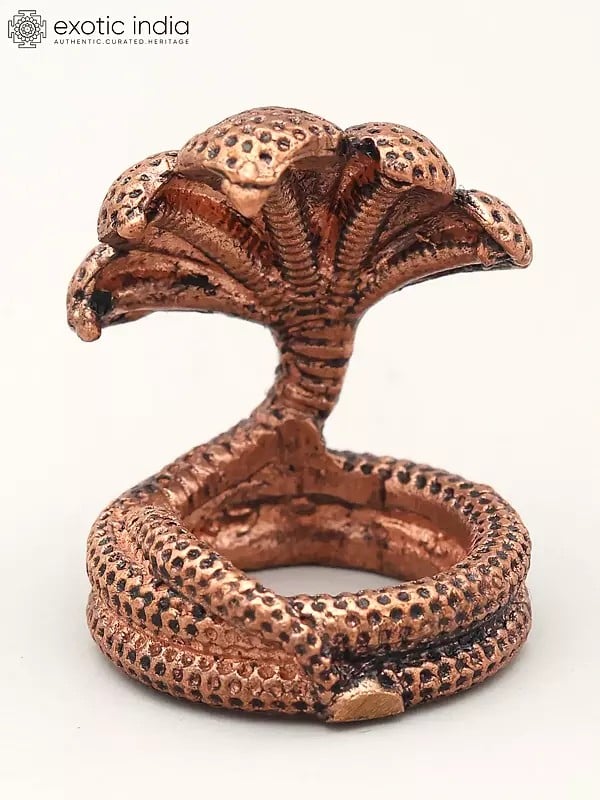 exotic india 1" Small Five Hooded Serpent 