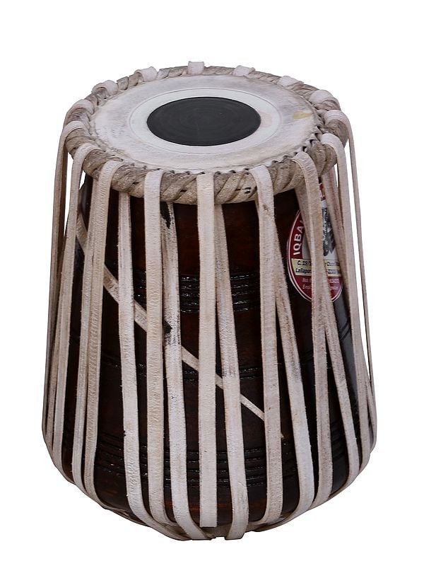 Exotic India 10" Tabla Set | Musical Instrument 