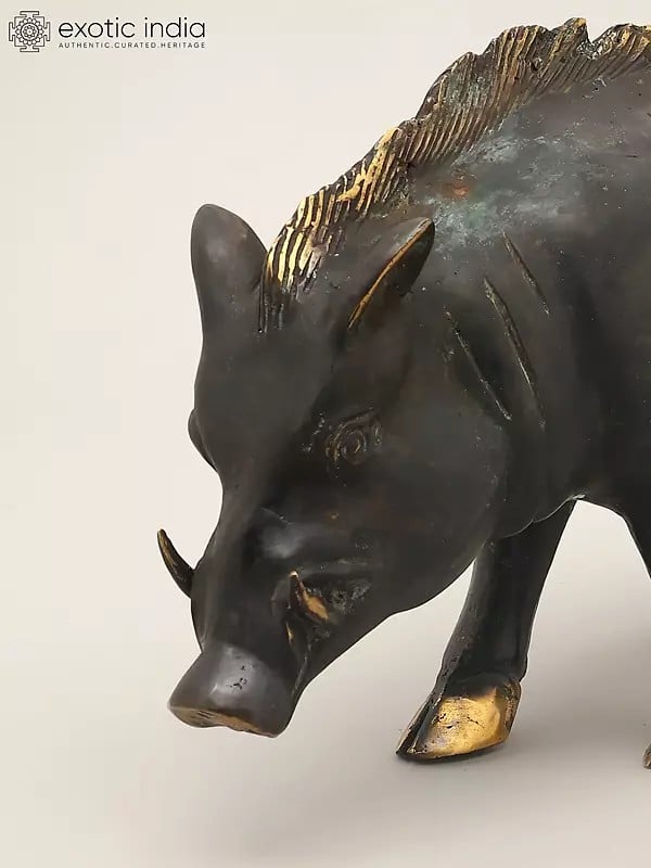 Exotic India 12" Wild Boar Brass Statue | Table Piece 