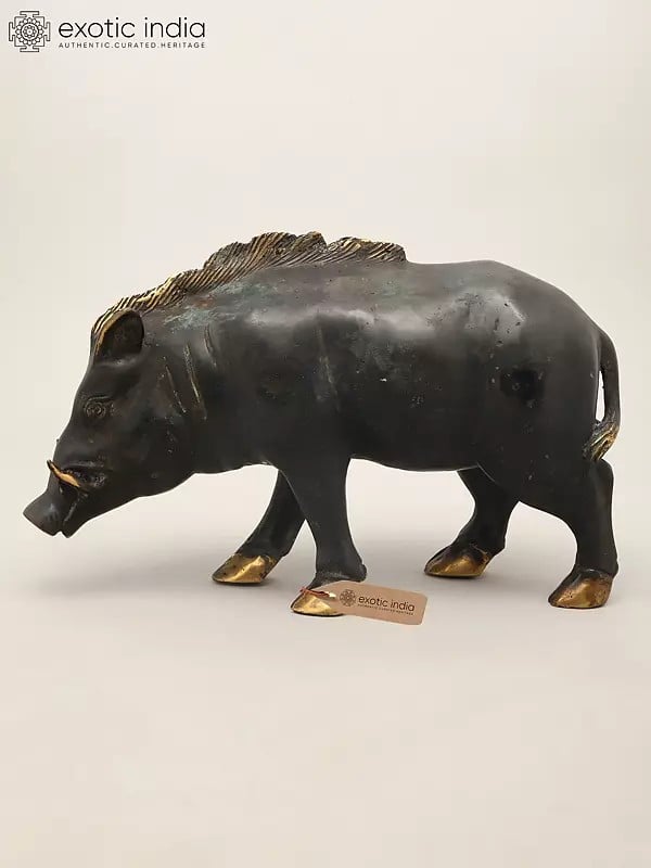 exotic india 12" Wild Boar Brass Statue | Table Piece 