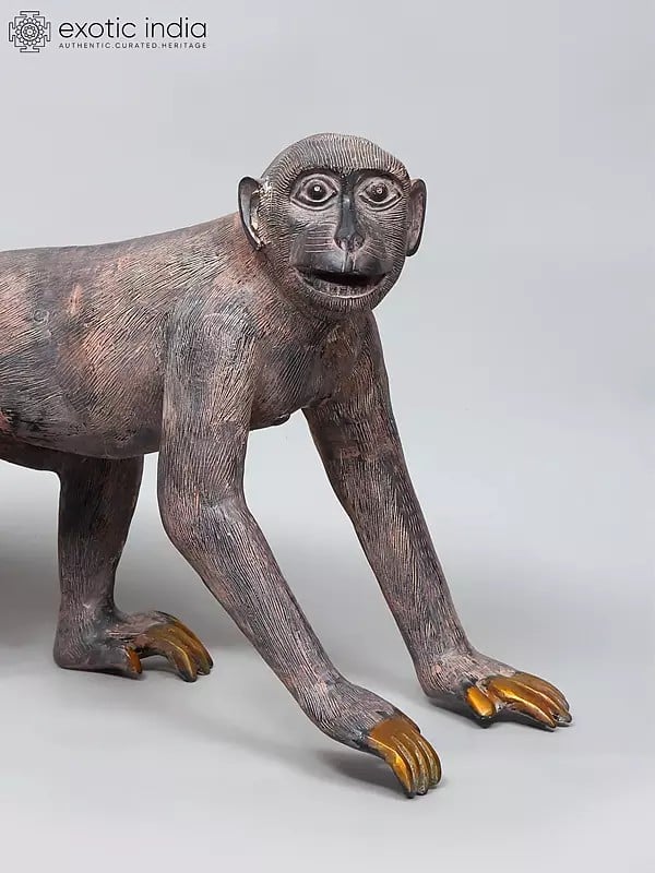 Exotic India 21" Brass Monkey Statue | Home Decor 