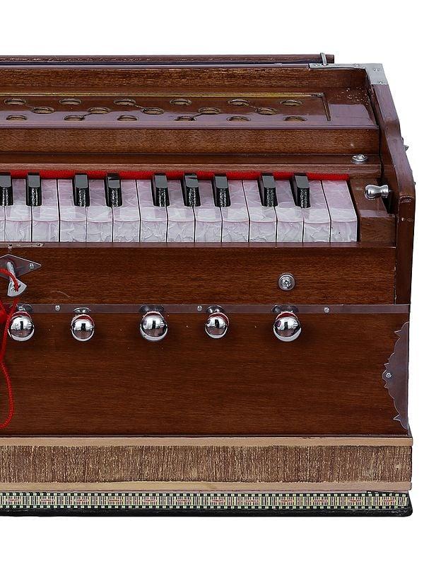 Exotic India 23" Harmonium | Musical Instrument 