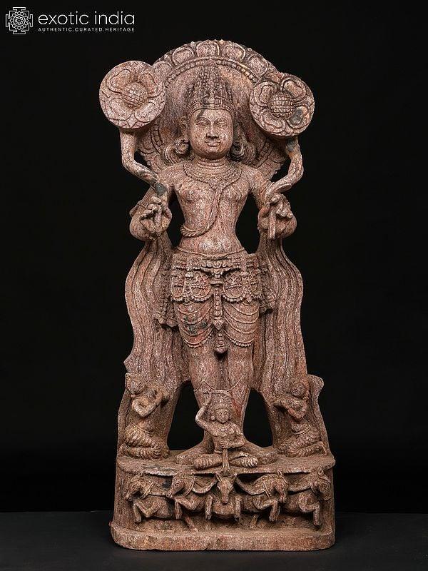 exotic india 28" Lord Surya Holding Two Lotuses 