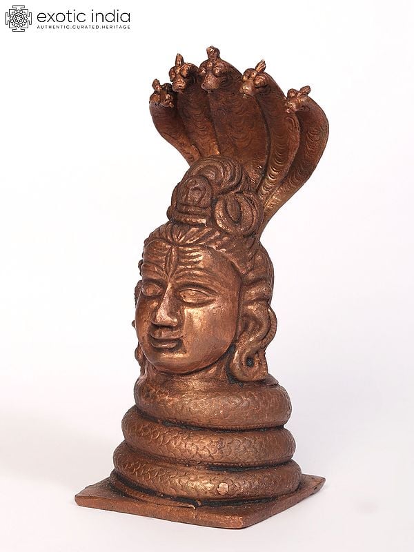 Exotic India 5" Small Lord Shiva Head Copper Statue 
