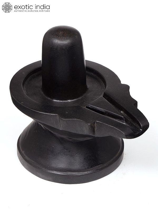 Exotic India 6" Small Black Marble Shivalinga 