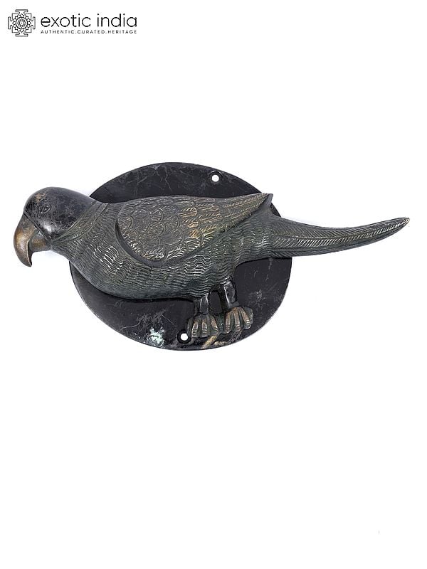 exotic india 8" Parrot Design Brass Door Knocker 