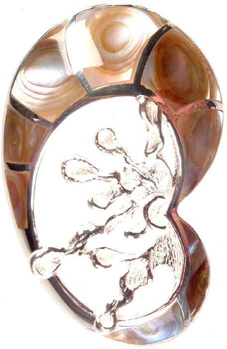 exotic india Abalone Pendant