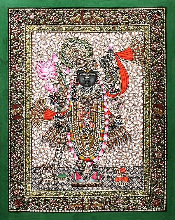 exotic india Beautifully Dressed Lord Shrinath