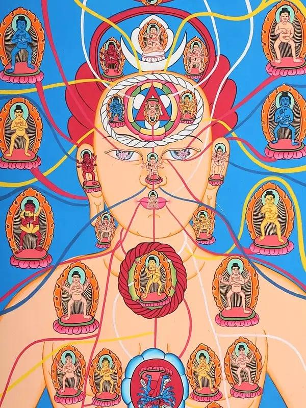 Exotic India Chakras And Cosmos (Tibetan Buddhist) 