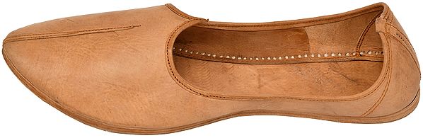 Exotic India Classic Plain Jootis For Men