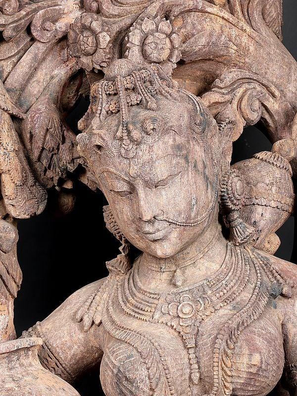 Exotic India Classic Shakuntala | Shipped By Sea 