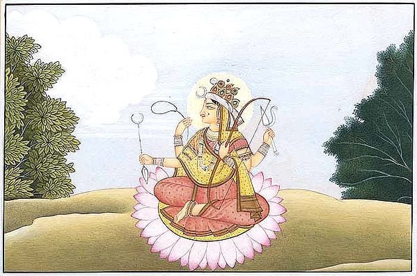 exotic india Devi as Shiva 