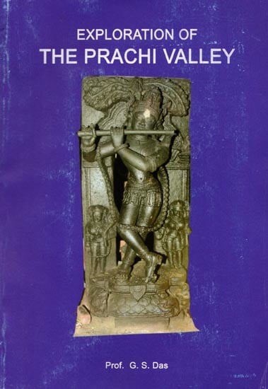 exotic india Exploration of the Prachi Valley 