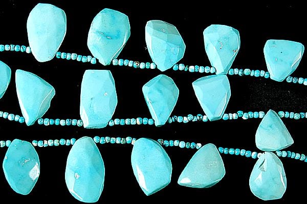 exotic india Faceted Turquoise Shapes