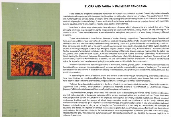 Exotic India Flora And Fauna In Palmleaf Panorama 