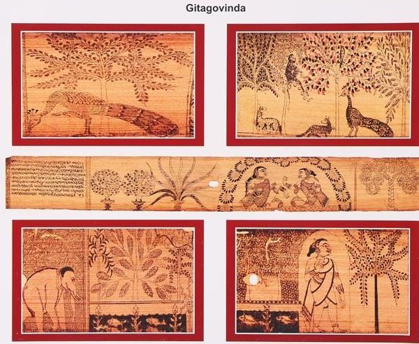 Exotic India Flora And Fauna In Palmleaf Panorama 