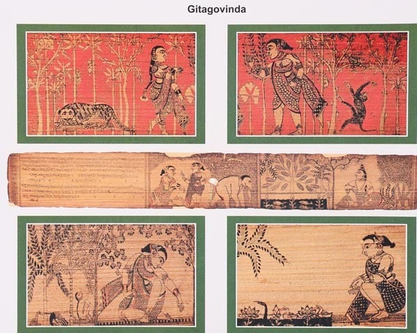 Exotic India Flora And Fauna In Palmleaf Panorama 