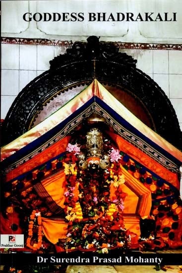 exotic india Goddess Bhadrakali 