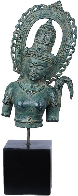 Exotic India Goddess Parvati Bust On Wooden Stand 