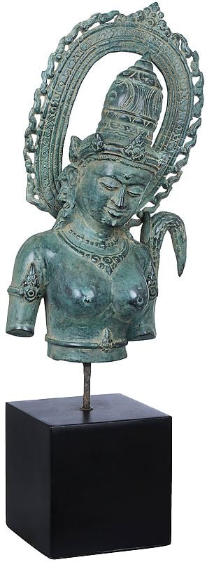 exotic india Goddess Parvati Bust on Wooden Stand 