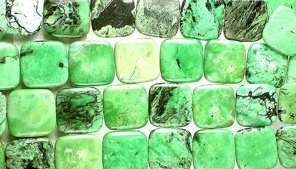 exotic india Green Grass Squares