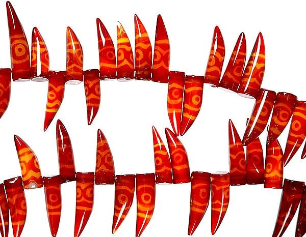exotic india Gzi Claws
