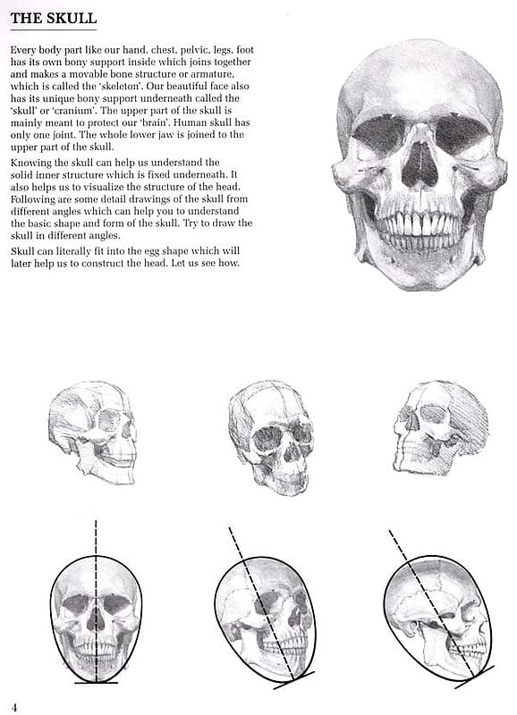 Exotic India Head Study (Simplifying The Human Head) 