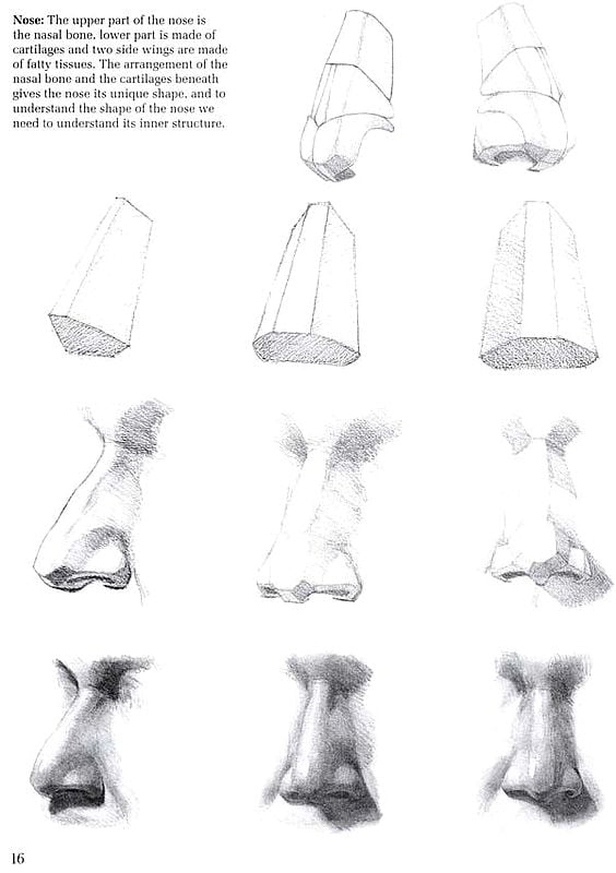 Exotic India Head Study (Simplifying The Human Head) 
