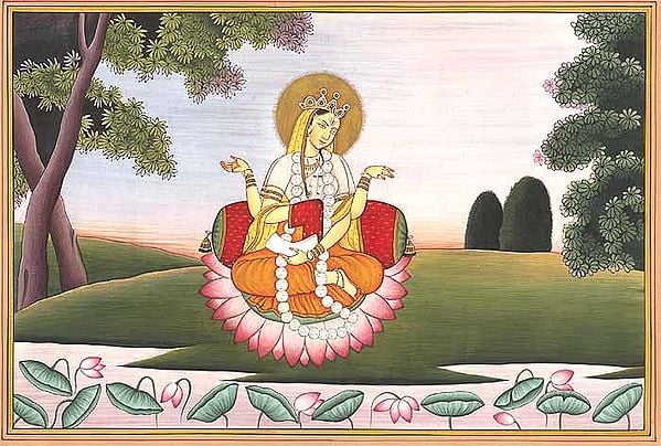 exotic india Jagadamba