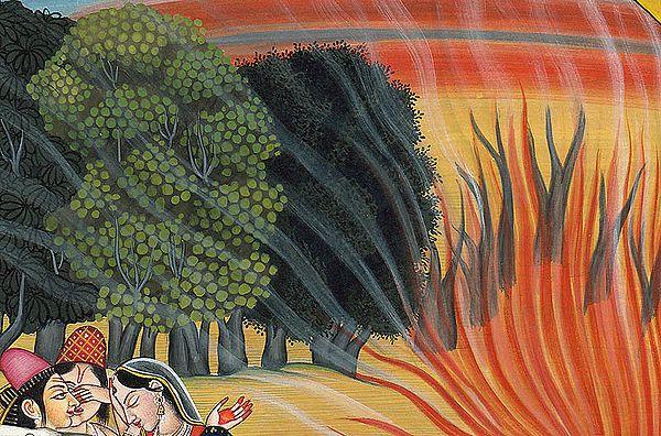 Exotic India Krishna Consumes Forest Fire