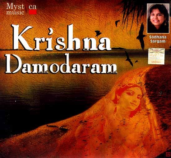 exotic india Krishna Damodaram (Audio CD) 