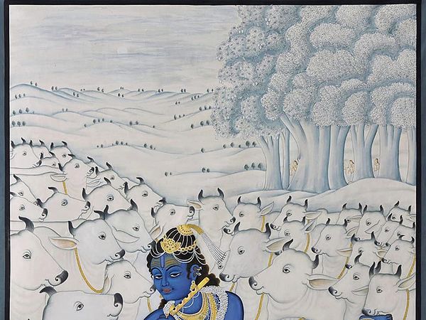 Exotic India Lord Krishna With Cows Pichwai Art 