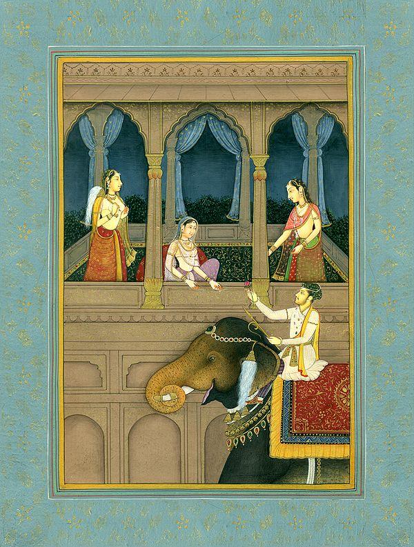 exotic india Lovers Meet 