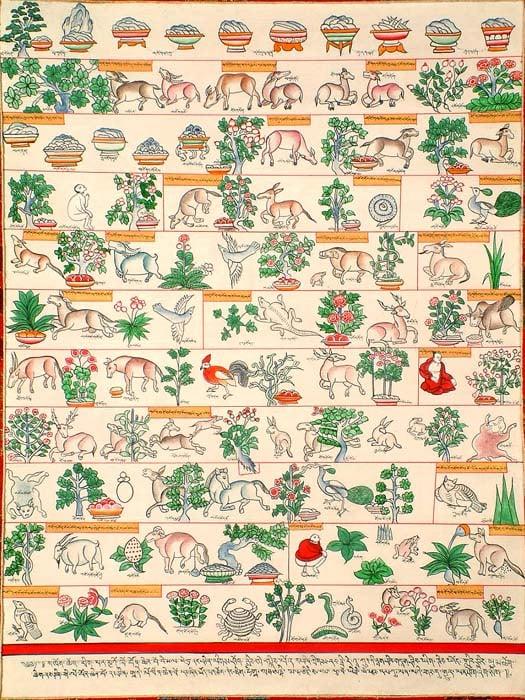 exotic india Materia Medica of Vegetable Origin 