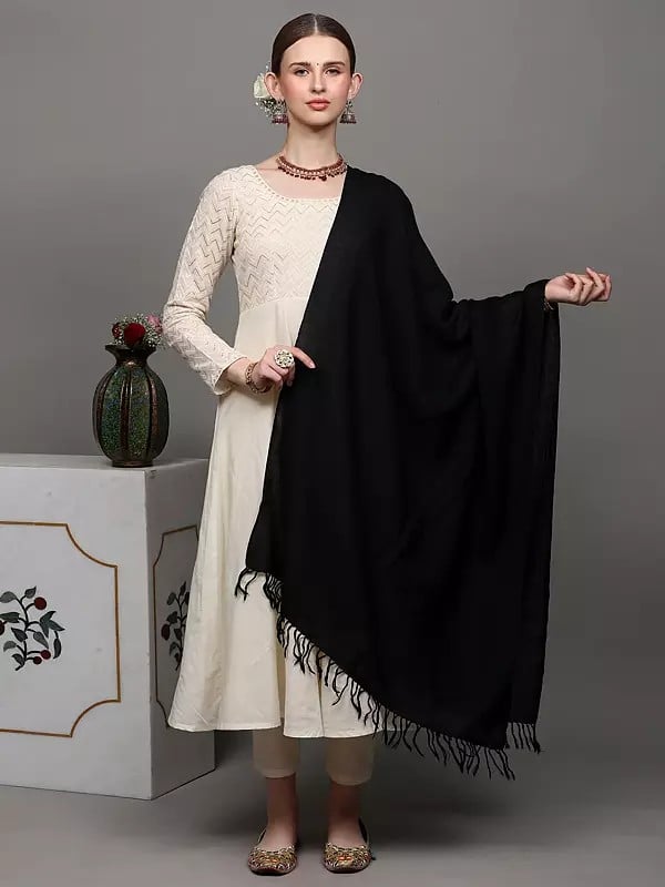 exotic india Plain Tusha Stole from Kashmir 