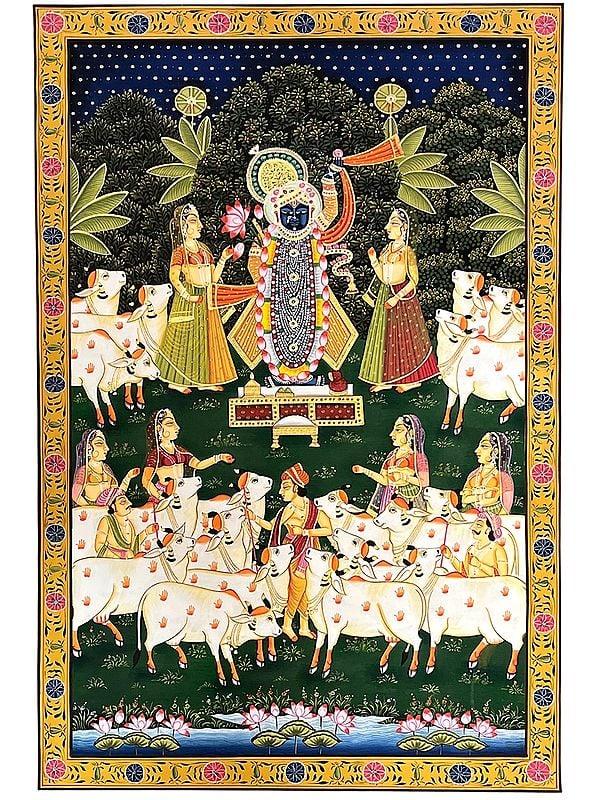 exotic india Puja Of Lord Shrinathji | Pichhwai Art 