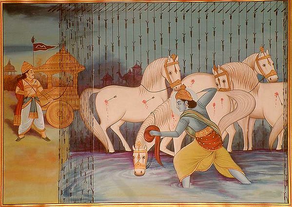 exotic india Raining Arrows 