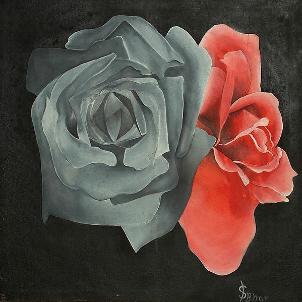 exotic india Rose(s) 