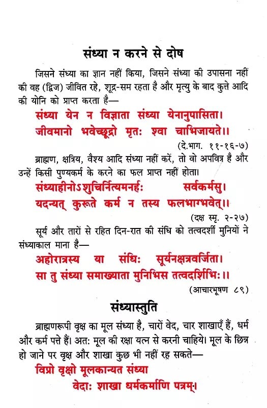Exotic India सन्ध्योपासन एवं तर्पण-विधि- Sandhya Upasana And Tarpan Vidhi 