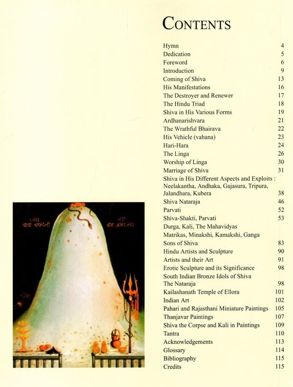 Exotic India Shiva And Shakti (Mythology And Art) 