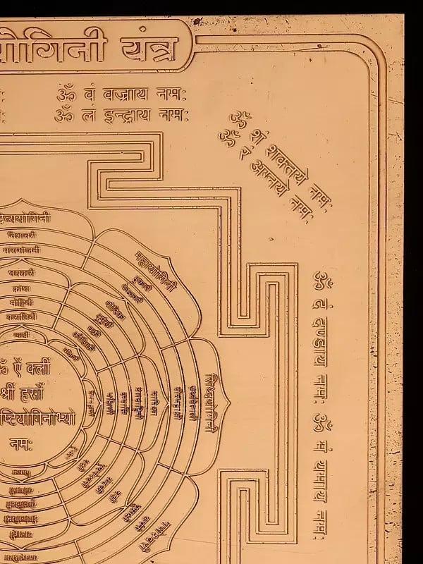 Exotic India चौंसठ योगिनी यंत्र: Shri 64 Yogini Yantra 