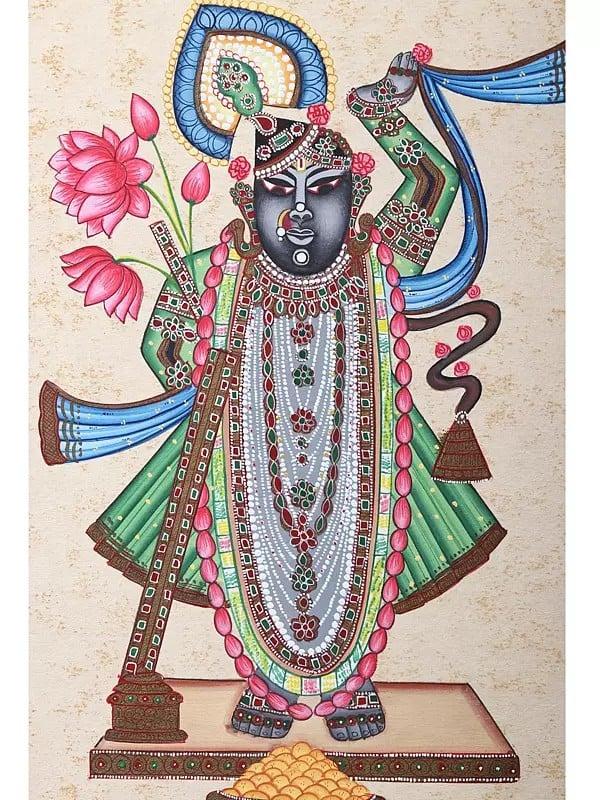 Exotic India Srinathji 