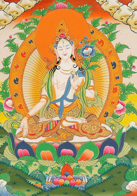 exotic india Tibetan Buddhist Goddess White Tara 