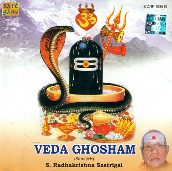exotic india Veda Ghosham (Audio CD) 