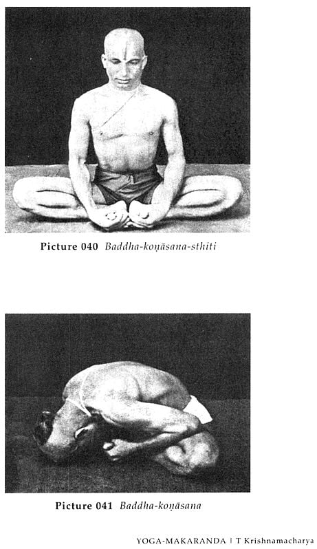 Exotic India Yoga Makaranda - The Nectar Of Yoga 