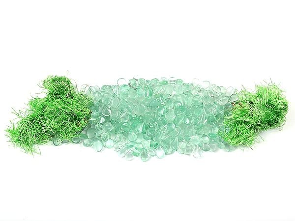 Exotic India Green Chalcedony Plain Briolette (Price Of 1 String)