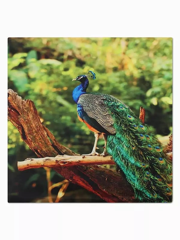 Exotic India Greenery Digital Printed Peacock Cushion Cover 