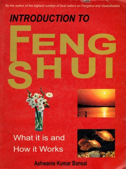 exotic india Introduction to Feng Shui What it is and How it Works- An Old and Rare Book (Only 1 Quantity Available) 