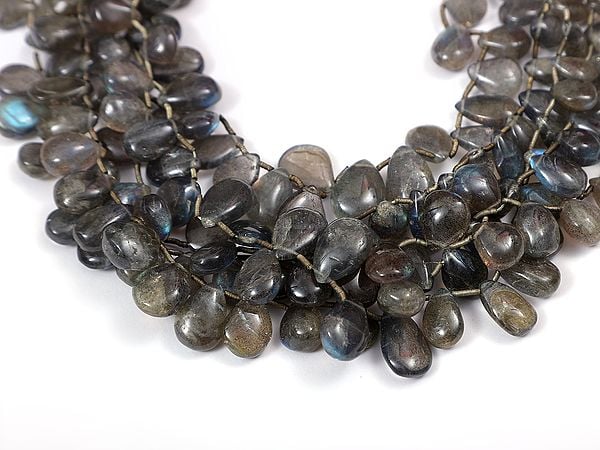 exotic india Labradorite Briolette (Price of 1 String) 